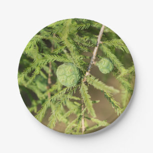 Bald Cypress Seed Cone Paper Plate