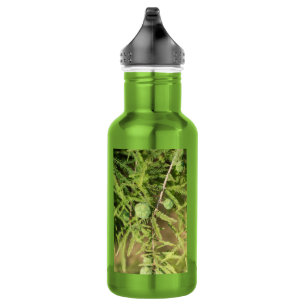 Bald Cypress Seed Cone Water Bottle