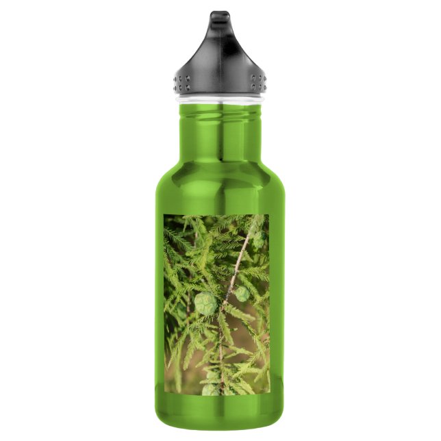 Bald Cypress Seed Cone Water Bottle (Right)