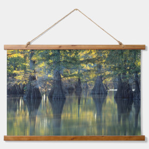 Bald Cypress Trees Horseshoe Lake Illinois Hanging Tapestry