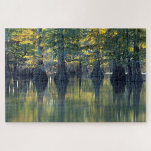 Bald Cypress Trees Horseshoe Lake Illinois Jigsaw Puzzle