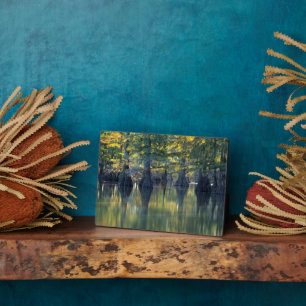 Bald Cypress Trees   Horseshoe Lake Illinois Plaque