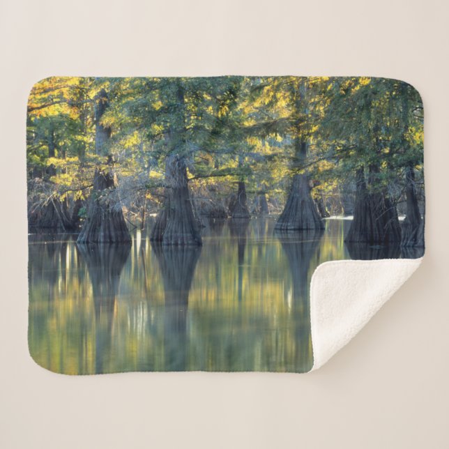 Bald Cypress Trees | Horseshoe Lake Illinois Sherpa Blanket (Front (Horizontal))