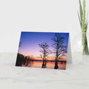 Bald Cypress Trees National Wildlife Refuge, TN Card
