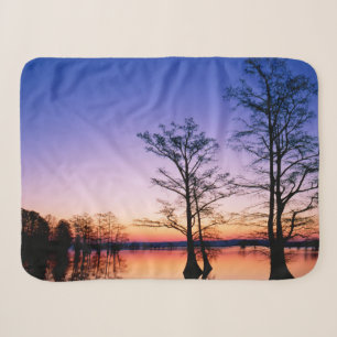Bald Cypress Trees National Wildlife Refuge, TN Sherpa Blanket