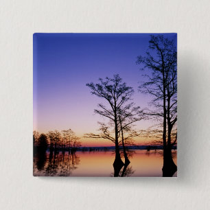 Bald cypress trees silhouetted at sunset, 15 cm square badge