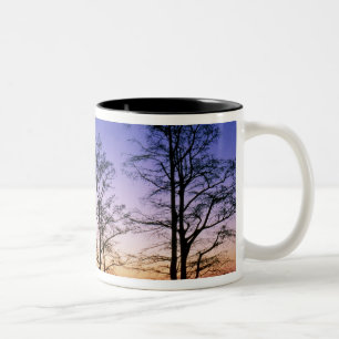 Bald cypress trees silhouetted at sunset, Two-Tone coffee mug