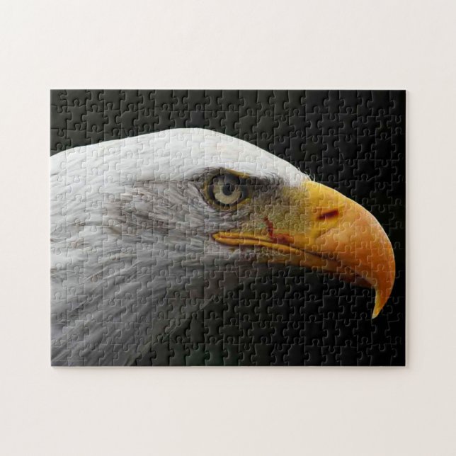 Bald Eagle 11x14 252pc jpa Jigsaw Puzzle (Horizontal)