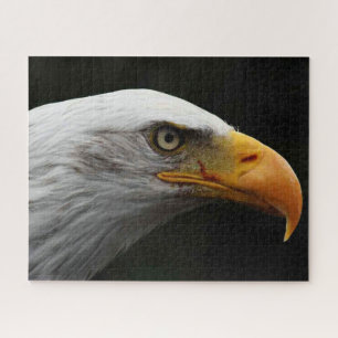 Bald Eagle 16x20 520pc jpcna Jigsaw Puzzle