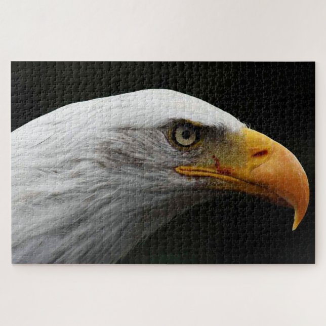 Bald Eagle 20x30 1014pc jpa Jigsaw Puzzle (Horizontal)
