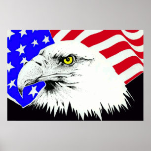 Bald Eagle 4th Of July Poster 1