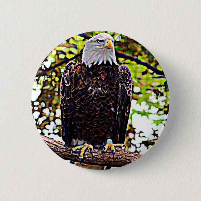Bald Eagle 6 Cm Round Badge (Front)