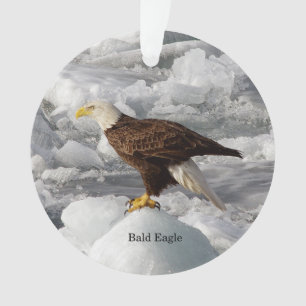 Bald Eagle acrylic ornamet Ornament