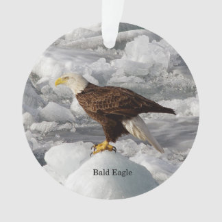 Bald Eagle acrylic ornamet Ornament
