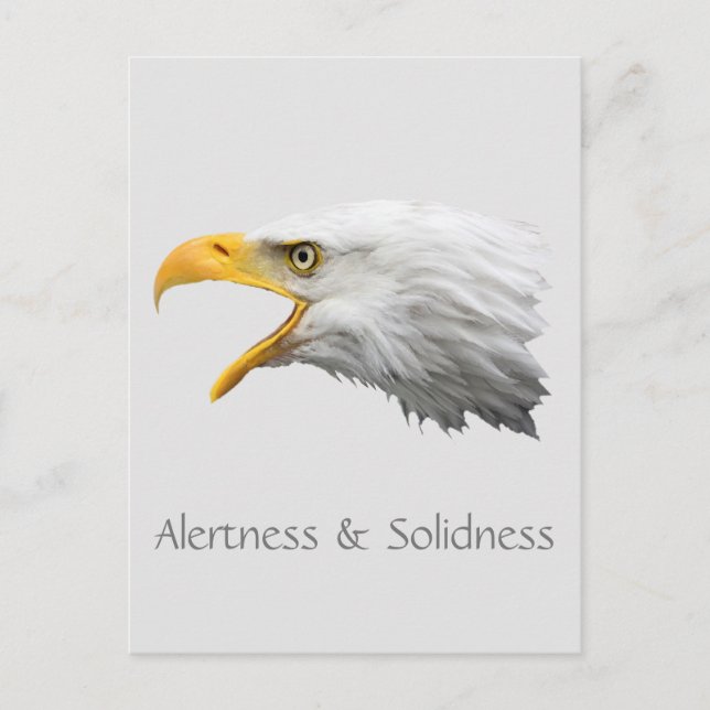 Bald Eagle Alertness & Solidness customisable Postcard (Front)