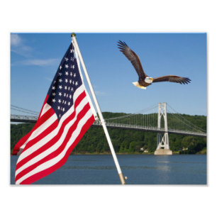 Bald Eagle (American Pride) Photo Print