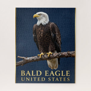 🦅 Bald Eagle American Wilderness Jigsaw Puzzle