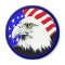 Bald Eagle and American Flag