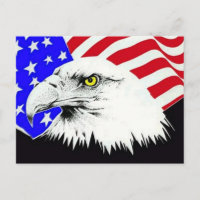 Bald Eagle and American Flag Postcard