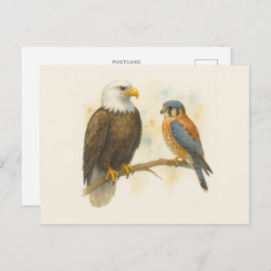 Bald Eagle and American Kestrel Raptor Postcard