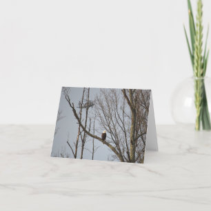Bald Eagle and Blackhawk Notecard - Blank Inside