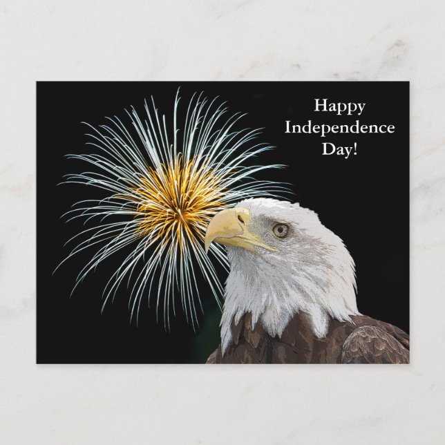 Bald Eagle and Fireworks Postcard (Front)