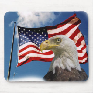 bald eagle and flag mouse pad