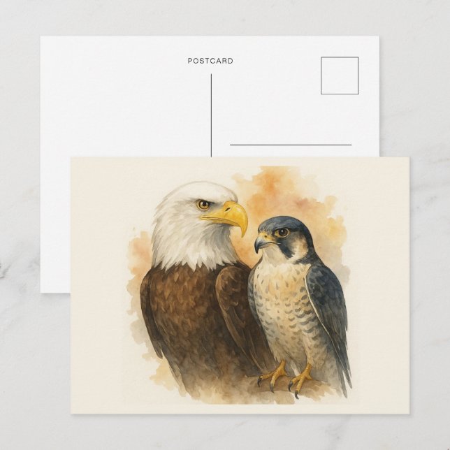 Bald Eagle and Peregrine Falcon Wildlife Art Postcard (Front/Back)