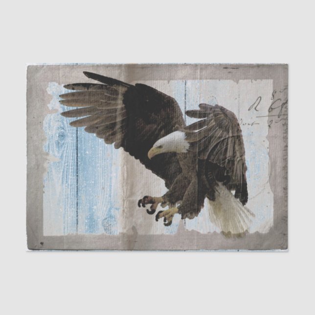 Bald Eagle Artwork Decoupage Tissue Paper (Front)
