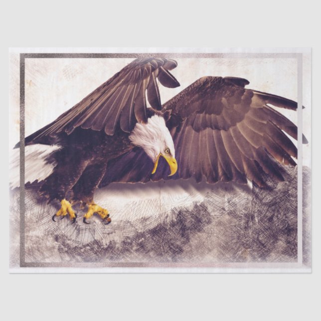 Bald Eagle Artwork Decoupage Tissue Paper (Front)