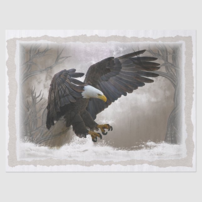 Bald Eagle Artwork Decoupage Tissue Paper (Front)