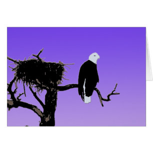 Bald Eagle at Sunset  - Original Wildlife Art