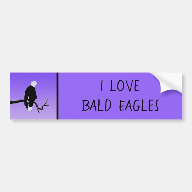 Bald Eagle at Sunset  - Original Wildlife Art Bumper Sticker (Front)
