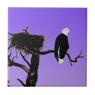 Bald Eagle at Sunset  - Original Wildlife Art Ceramic Tile