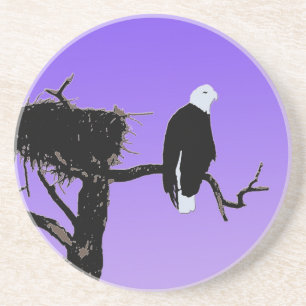 Bald Eagle at Sunset - Original Wildlife Art Coaster
