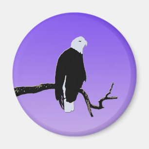 Bald Eagle at Sunset - Original Wildlife Art Magnet