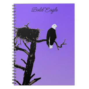 Bald Eagle at Sunset  - Original Wildlife Art Notebook