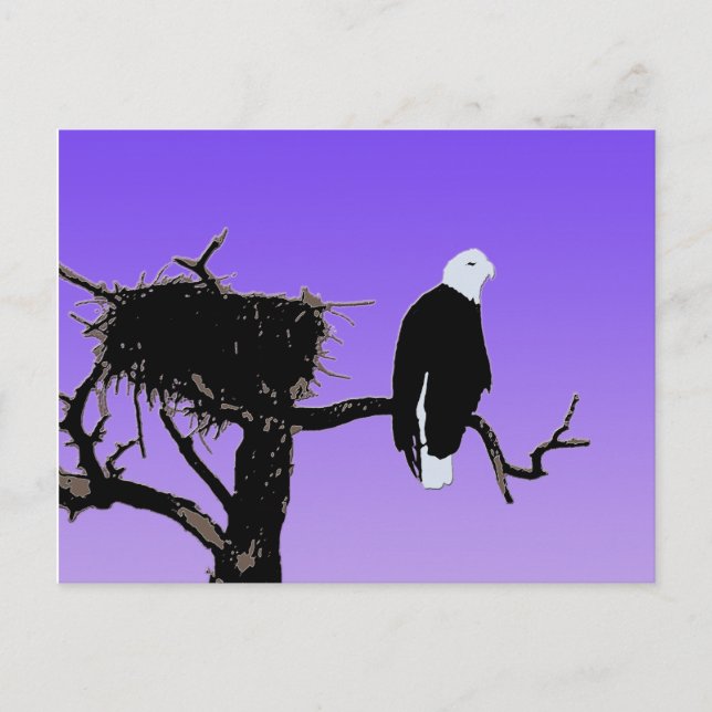 Bald Eagle at Sunset  - Original Wildlife Art Postcard (Front)