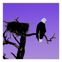 Bald Eagle at Sunset  - Original Wildlife Art