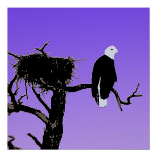 Bald Eagle at Sunset  - Original Wildlife Art Poster
