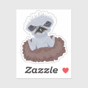 Bald Eagle Baby