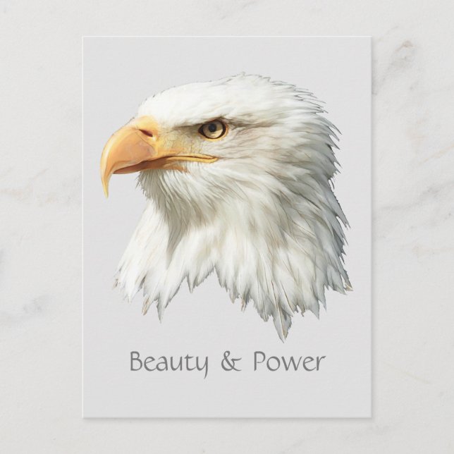 Bald Eagle Beauty & Power customisable Postcard (Front)
