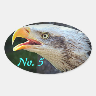Bald Eagle Bin Stickers