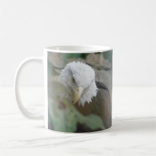 Bald Eagle Bird Coffee Tea Mug Cup