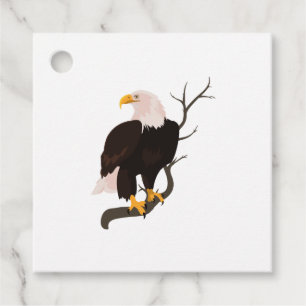 Bald Eagle Bird Falcon Hawk Buzzard Raptor Nature Favour Tags