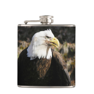 Bald Eagle Bird Hip Flask