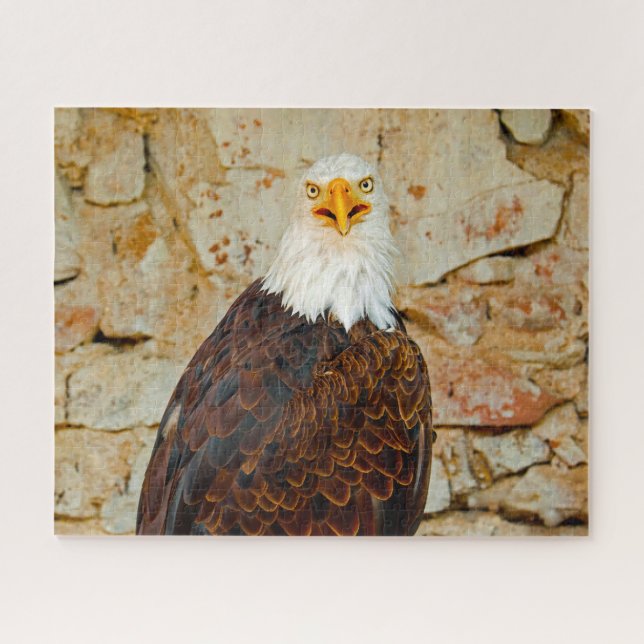Bald Eagle Bird of Prey. Jigsaw Puzzle (Horizontal)