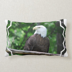 Bald Eagle Bird Pillow