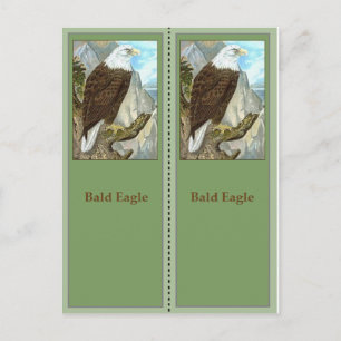 Bald Eagle Birding Bookmarks Postcard