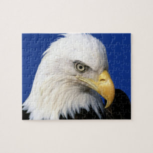 Bald Eagle Blue Sky Family Quiet Fun Jigsaw Puzzle
